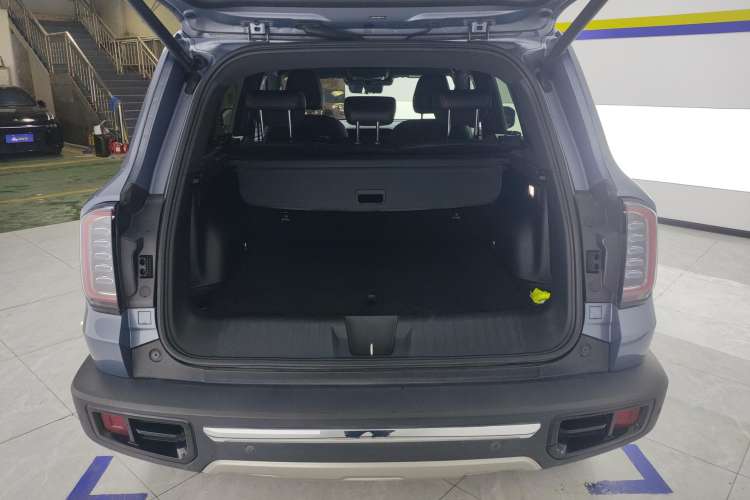 Used Haval DARGO 2021 2.0T DCT 4x4 Chinese Rural Dog Edition Trunk