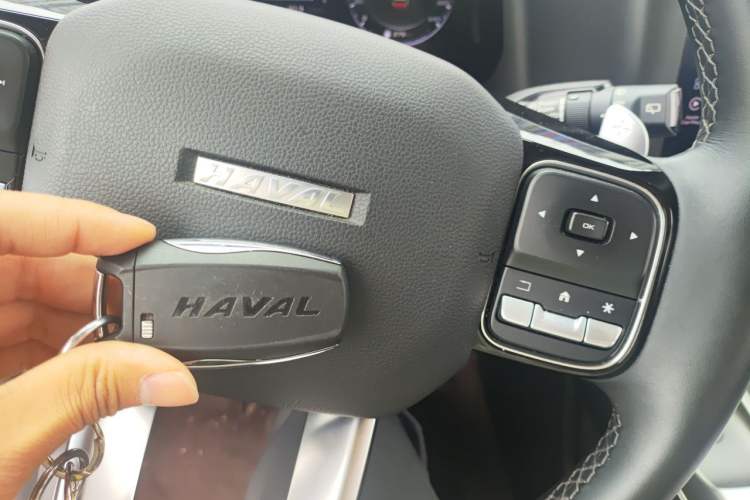 Used Haval DARGO 2021 1.5T DCT Two-Wheel Drive Labrador Edition Vehicle Key