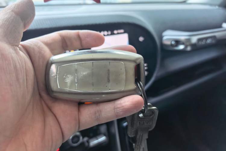 Used Haval DARGO 2021 2.0T DCT 4x4 Chinese Rural Dog Edition Vehicle Key