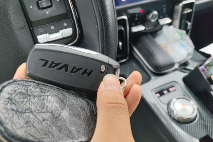 Used Haval DARGO 2021 2.0T DCT 4x4 Chinese Rural Dog Edition Vehicle Key