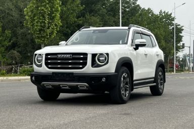 Used Haval DARGO 2021 2.0T DCT 4x4 Chinese Rural Dog Edition