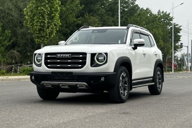Used Haval DARGO 2021 2.0T DCT 4x4 Chinese Rural Dog Edition