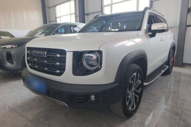 Used Haval DARGO 2021 1.5T DCT Two-Wheel Drive "Mǎquǎn" Edition
