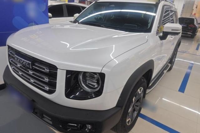 Used Haval DARGO 2021 2.0T DCT 4x4 Chinese Rural Dog Edition