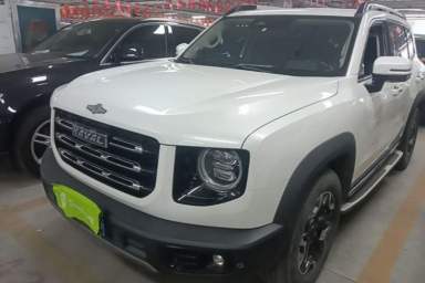 Used Haval DARGO 2021 2.0T DCT 4x4 Chinese Rural Dog Edition