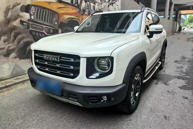 Used Haval DARGO 2021 2.0T DCT 4x4 Chinese Rural Dog Edition