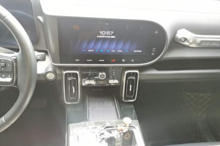 Used Haval DARGO 2021 Revised Version 2.0T DCT Four-Wheel Drive "Hao Tian Que" Edition Audio And AC Panel