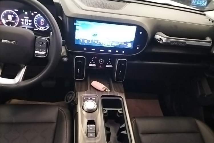 Used Haval DARGO 2021 2.0T DCT 4x4 Chinese Rural Dog Edition Audio And AC Panel