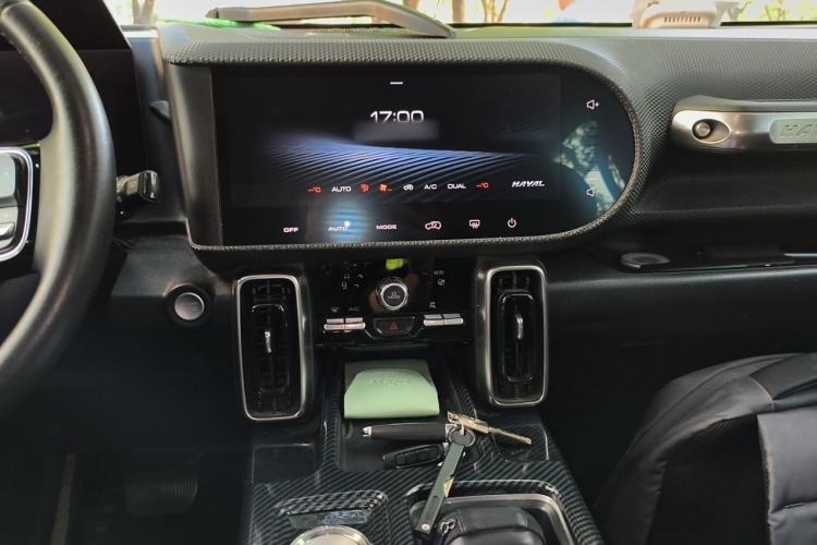 Used Haval DARGO 2021 1.5T DCT Two-Wheel Drive Border Collie - Wangcai Edition Audio And AC Panel