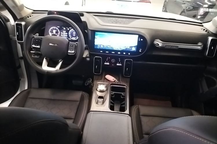 Used Haval DARGO 2021 2.0T DCT 4x4 Chinese Rural Dog Edition Center Console