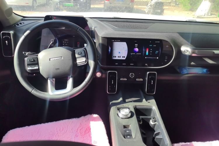 Used Haval DARGO 2021 1.5T DCT Two-Wheel Drive Labrador Edition Center Console