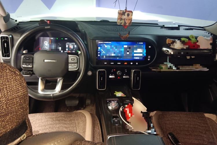 Used Haval DARGO 2021 1.5T DCT Two-Wheel Drive Border Collie Edition Center Console