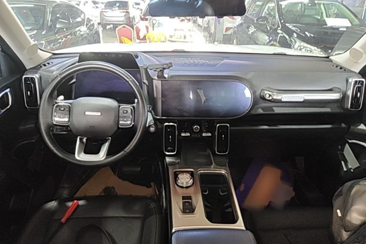 Used Haval DARGO 2021 1.5T DCT Two-Wheel Drive Labrador Edition Center Console