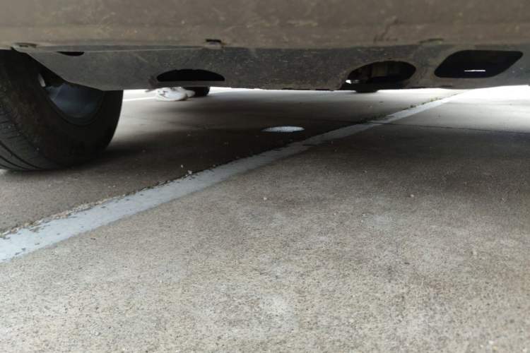 Used Haval DARGO 2021 1.5T DCT Two-Wheel Drive Border Collie - Wangcai Edition Chassis Front Right