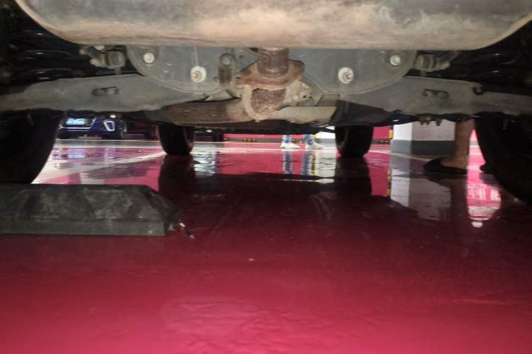 Used Haval DARGO 2021 2.0T DCT 4x4 Chinese Rural Dog Edition Chassis Rear
