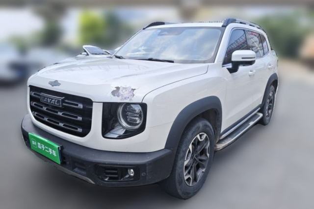 Used Haval DARGO 2021 2.0T DCT 4x4 Chinese Rural Dog Edition
