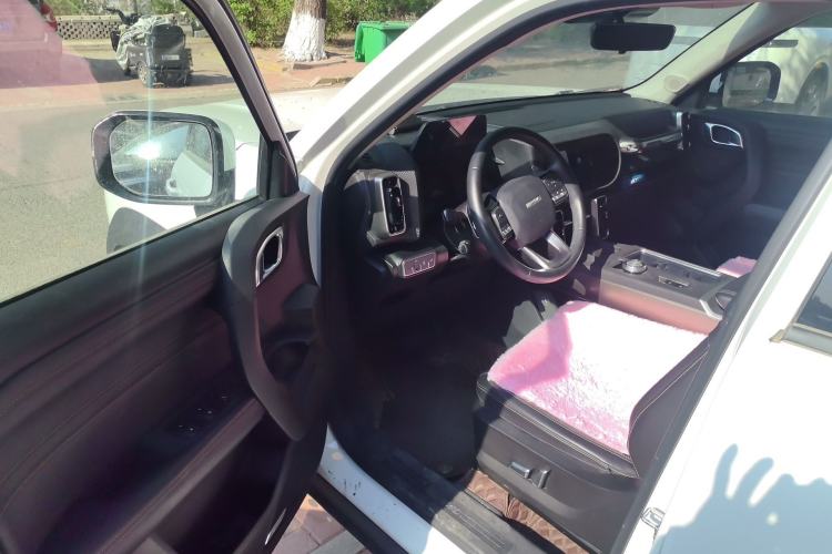 Used Haval DARGO 2021 1.5T DCT Two-Wheel Drive Labrador Edition Driver Seat