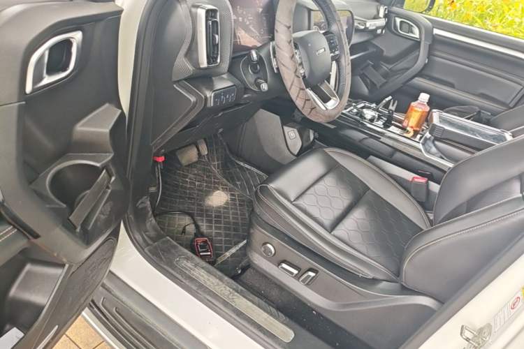 Used Haval DARGO 2021 2.0T DCT 4x4 Chinese Rural Dog Edition Driver Seat