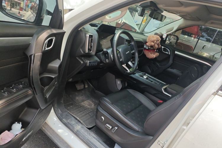 Used Haval DARGO 2021 1.5T DCT Two-Wheel Drive Border Collie Edition Driver Seat