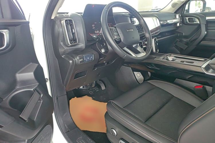 Used Haval DARGO 2021 2.0T DCT 4x4 Chinese Rural Dog Edition Driver Seat