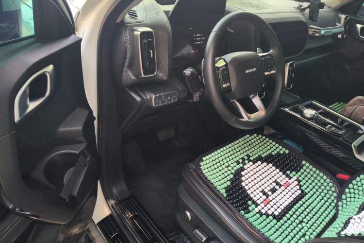 Used Haval DARGO 2021 1.5T DCT Two-Wheel Drive "Mǎquǎn" Edition Driver Seat