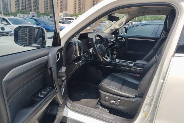 Used Haval DARGO 2021 2.0T DCT 4x4 Chinese Rural Dog Edition Driver Seat