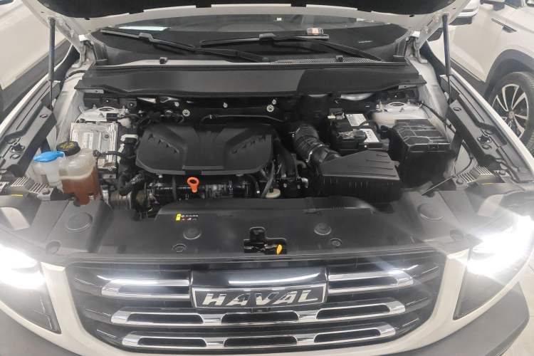 Used Haval DARGO 2021 2.0T DCT 4x4 Chinese Rural Dog Edition Engine Bay