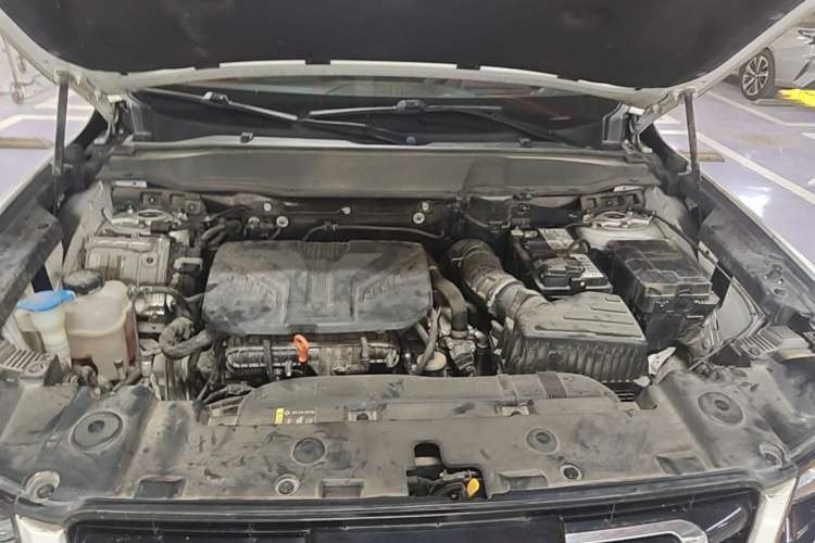 Used Haval DARGO 2021 Revised Version 2.0T DCT Four-Wheel Drive "Hao Tian Que" Edition Engine Bay