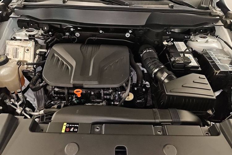 Used Haval DARGO 2021 2.0T DCT 4x4 Chinese Rural Dog Edition Engine Bay