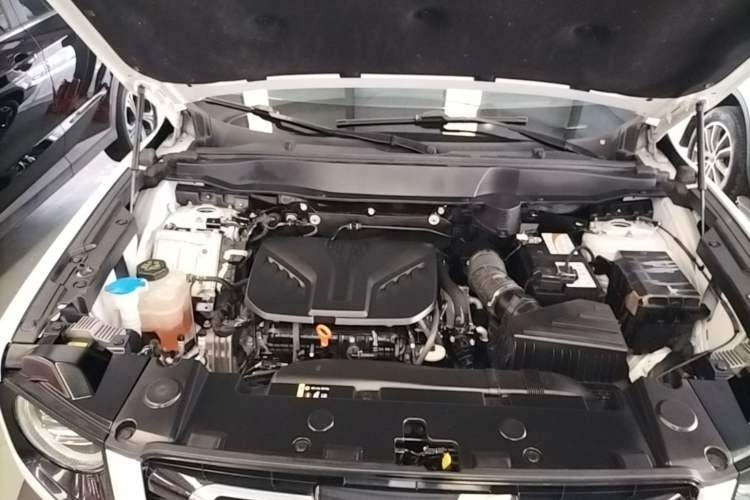 Used Haval DARGO 2021 2.0T DCT 4x4 Chinese Rural Dog Edition Engine Bay