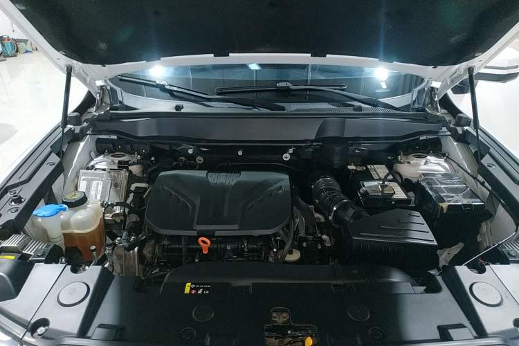 Used Haval DARGO 2021 Revised Version 2.0T DCT Four-Wheel Drive "Hao Tian Que" Edition Engine Bay