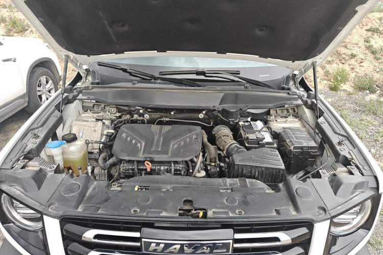 Used Haval DARGO 2021 2.0T DCT All-Wheel-Drive "Hao Tian Quan" Edition Engine Bay