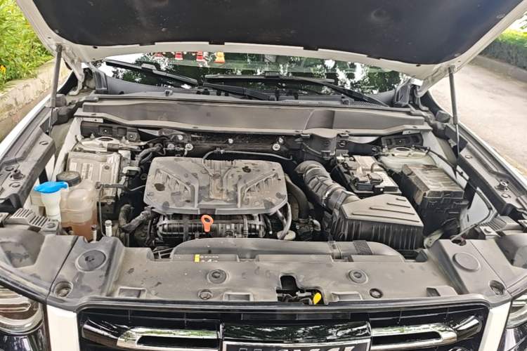 Used Haval DARGO 2021 2.0T DCT 4x4 Chinese Rural Dog Edition Engine Bay