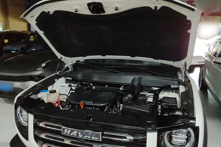 Used Haval DARGO 2021 Revised Version 2.0T DCT Four-Wheel Drive "Hao Tian Que" Edition Engine Bay