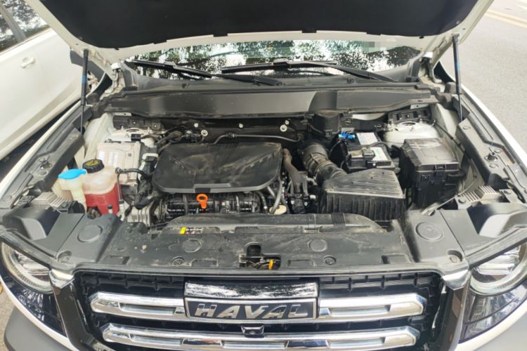 Used Haval DARGO 2021 2.0T DCT All-Wheel-Drive "Hao Tian Quan" Edition Engine Bay