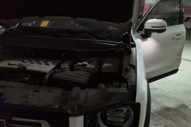 Used Haval DARGO 2021 1.5T DCT Two-Wheel Drive "Mǎquǎn" Edition Engine Bay Left