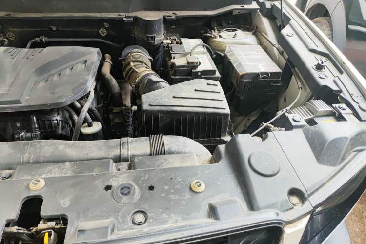 Used Haval DARGO 2021 2.0T DCT 4x4 Chinese Rural Dog Edition Engine Bay Left