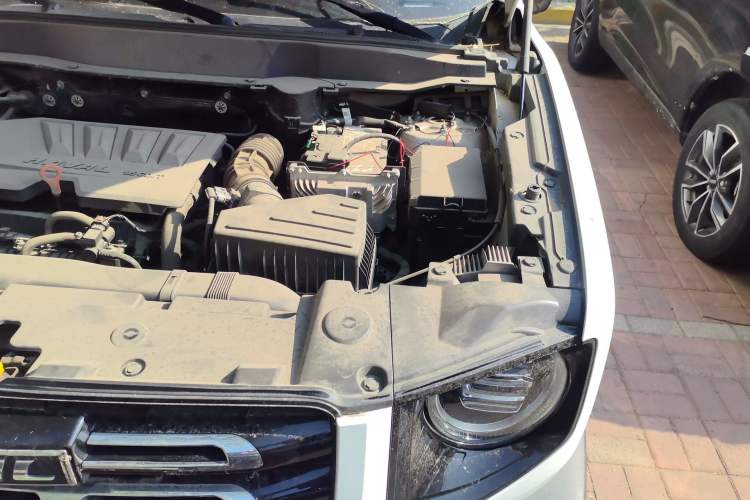 Used Haval DARGO 2021 1.5T DCT Two-Wheel Drive Labrador Edition Engine Bay Left