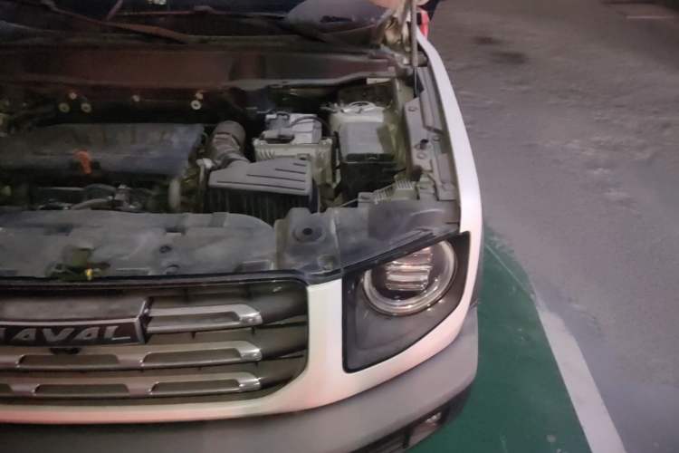 Used Haval DARGO 2021 1.5T DCT Two-Wheel Drive Labrador Edition Engine Bay Left