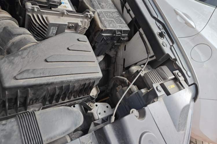 Used Haval DARGO 2021 1.5T DCT Two-Wheel Drive Labrador Edition Engine Bay Left