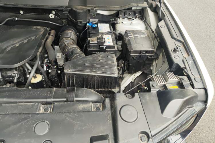 Used Haval DARGO 2021 2.0T DCT All-Wheel-Drive "Hao Tian Quan" Edition Engine Bay Left