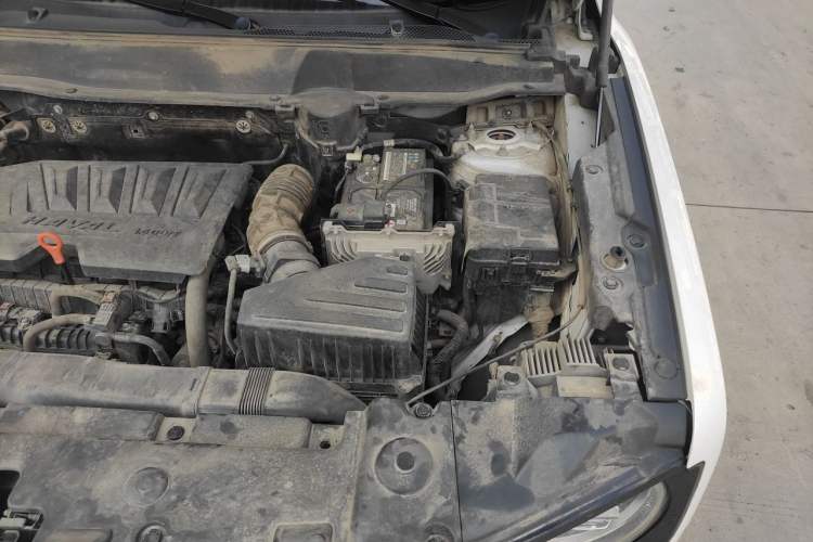 Used Haval DARGO 2021 Revised Version 1.5T DCT Two-Wheel Drive "Mǎquǎn" Edition Engine Bay Left