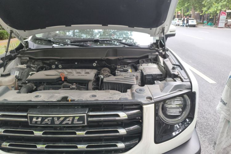 Used Haval DARGO 2021 1.5T DCT Two-Wheel Drive Border Collie Edition Engine Bay Left