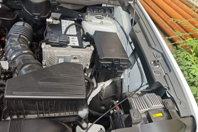 Used Haval DARGO 2021 Revised Version 1.5T DCT Two-Wheel Drive "Mǎquǎn" Edition Engine Bay Left