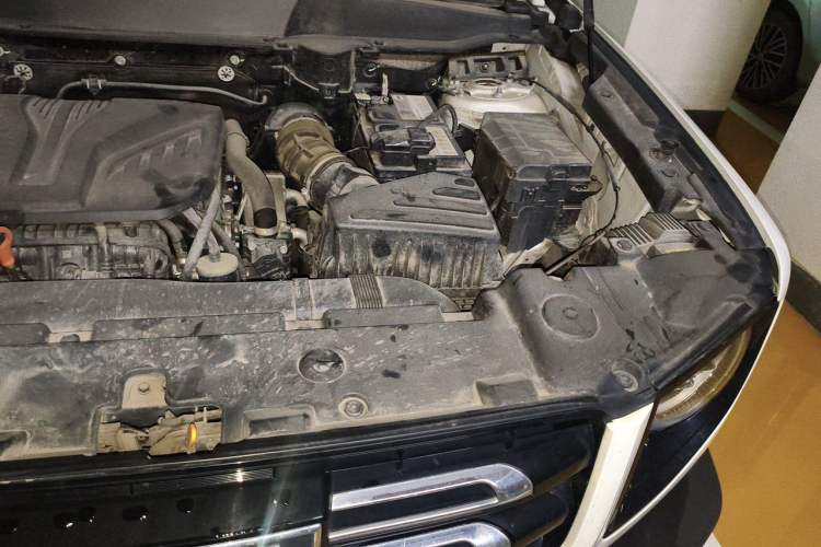Used Haval DARGO 2021 2.0T DCT 4x4 Chinese Rural Dog Edition Engine Bay Left
