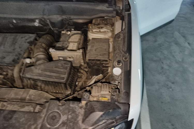 Used Haval DARGO 2021 1.5T DCT Two-Wheel Drive Border Collie - Wangcai Edition Engine Bay Left