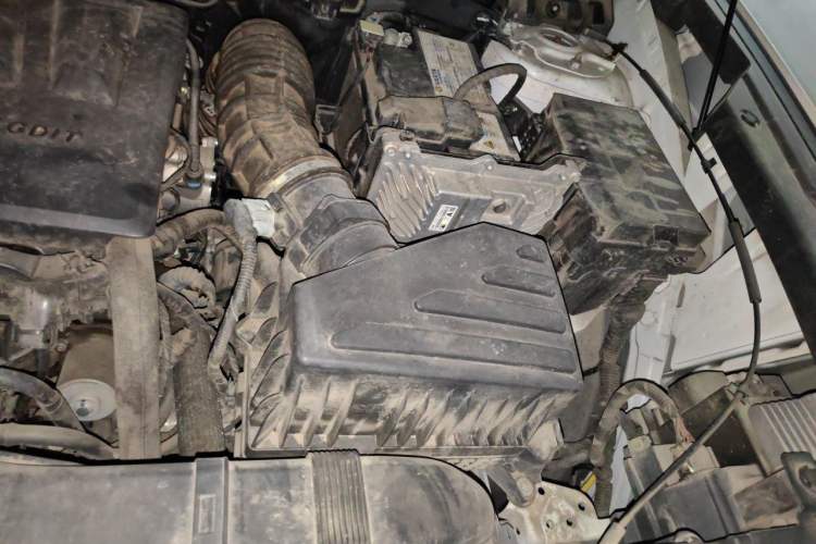 Used Haval DARGO 2021 1.5T DCT Two-Wheel Drive Labrador Edition Engine Bay Left