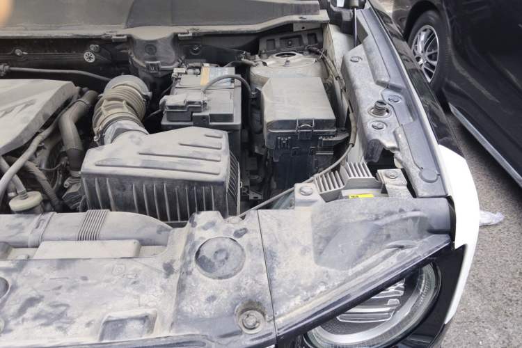 Used Haval DARGO 2021 2.0T DCT Two-Wheel Drive Chinese Mastiff Edition Engine Bay Left