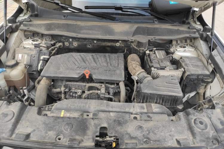 Used Haval DARGO 2021 Revised Version 1.5T DCT Two-Wheel Drive "Mǎquǎn" Edition Engine Bay