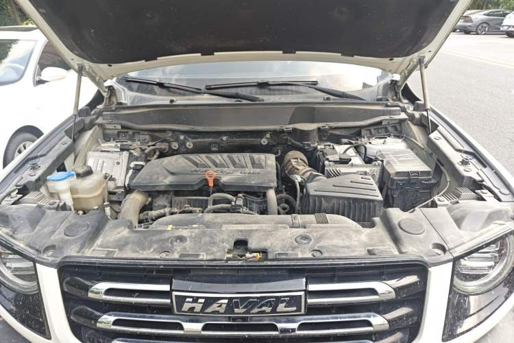 Used Haval DARGO 2021 1.5T DCT Two-Wheel Drive "Mǎquǎn" Edition Engine Bay